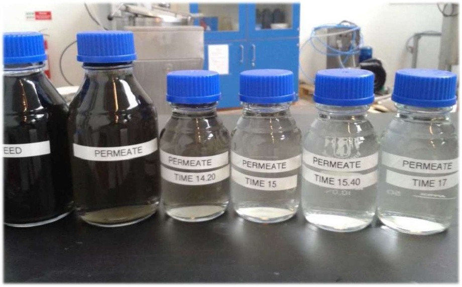 COLLECTED SAMPLES